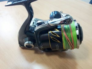 20180427_070538_resized_3.jpg