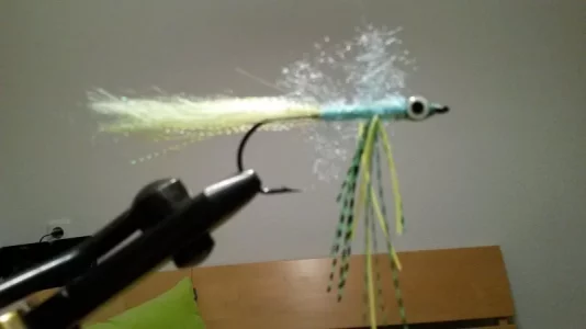 20180517_215452.webp 20180517_215452.webp