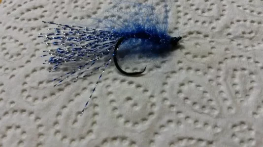 20180520_154648.webp 20180520_154648.webp