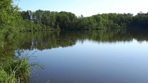 IMG-20180521-WA0002.jpg