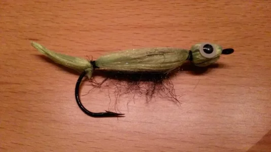 20180521_212813.webp 20180521_212813.webp