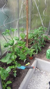 1526995615243-1441185847.jpg 1526995615243-1441185847.jpg