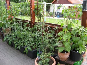 IMG_5873.JPG IMG_5873.JPG