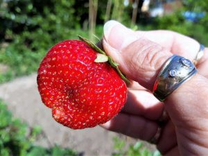 20180521_160814.jpg 20180521_160814.jpg