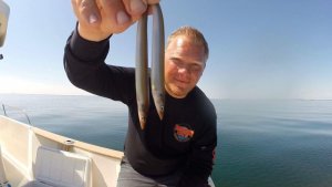 received_1819379134790556.jpeg received_1819379134790556.jpeg