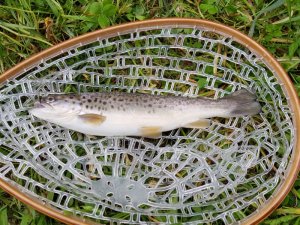 20180524_183253.jpg