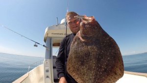 received_1819379164790553.jpeg received_1819379164790553.jpeg