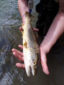 IMG_8687.jpg IMG_8687.jpg