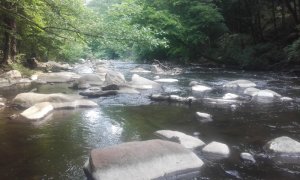 20180527_114604.jpg 20180527_114604.jpg