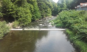 20180527_120303.jpg 20180527_120303.jpg