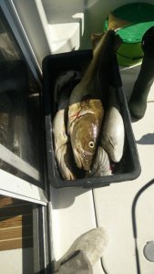 2018-05-31 15.48.18.jpg