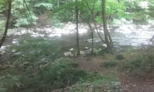 20180601_141433.jpg 20180601_141433.jpg