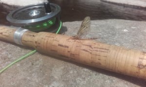 20180601_122427.jpg 20180601_122427.jpg