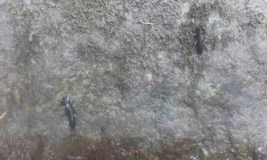 20180601_083409.jpg 20180601_083409.jpg