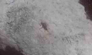 20180601_123814.jpg 20180601_123814.jpg