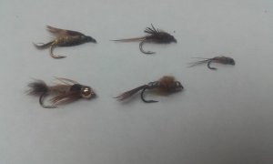 20180603_124357.jpg 20180603_124357.jpg