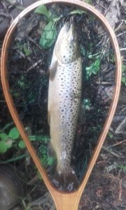 20180601_152314.jpg 20180601_152314.jpg