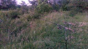 20180604_213320.jpg 20180604_213320.jpg