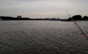 20180611_202043.jpg 20180611_202043.jpg