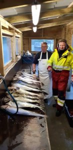 IMG-20180611-WA0001.jpg IMG-20180611-WA0001.jpg