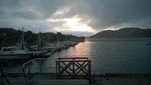 WP_20180612_001.jpg WP_20180612_001.jpg