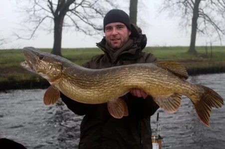 Preissler 113cm.webp