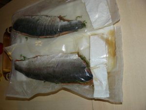 P1030705.jpg P1030705.jpg