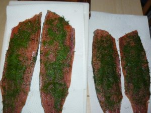 P1030710.jpg P1030710.jpg