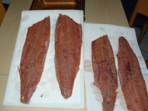 P1030712.jpg P1030712.jpg