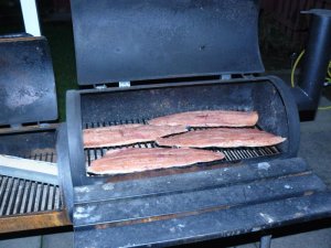 P1030714.jpg P1030714.jpg