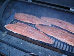 P1030719.jpg P1030719.jpg