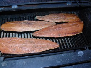 P1030721.jpg P1030721.jpg