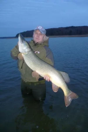 rügen dez2013 043.webp