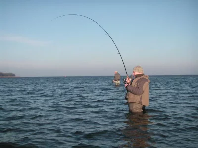 rügen dez2013 058.webp