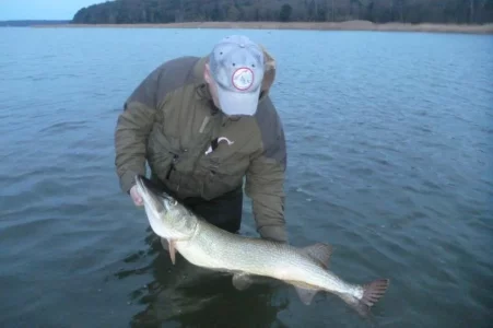 rügen dez2013 045.webp