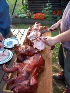 spanf8.jpg spanf8.jpg