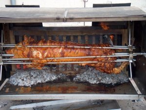 5spanferkel_vaertag04JPG.jpg 5spanferkel_vaertag04JPG.jpg