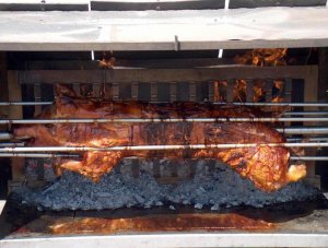 HPIM1136.jpg HPIM1136.jpg