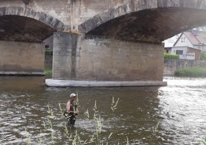 20180609_181213.jpg 20180609_181213.jpg