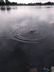 IMG_20180612_202118.jpg IMG_20180612_202118.jpg