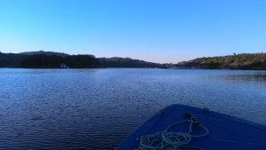 WP_20180613_05_56_44_Pro.jpg