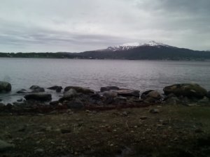 IMG_20180614_151526.jpg