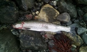 IMG-20180614-WA0019.jpeg