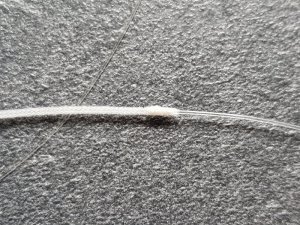 20180616_083340.jpg 20180616_083340.jpg