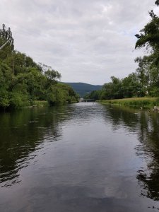 20180616_195023.jpg