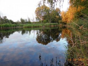 DSCN2811-2.jpg DSCN2811-2.jpg