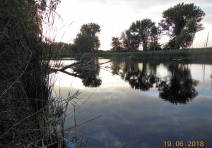 DSCN2812-2.jpg DSCN2812-2.jpg