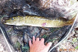 DSCN2822-2.jpg DSCN2822-2.jpg