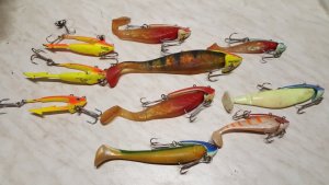 20180621_105826.jpg