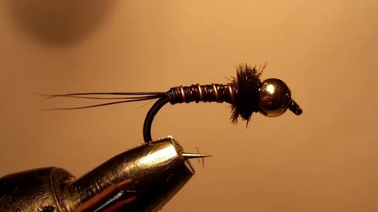 Moose Mane Nymphe 20180630_172534.webp Moose Mane Nymphe 20180630_172534.webp